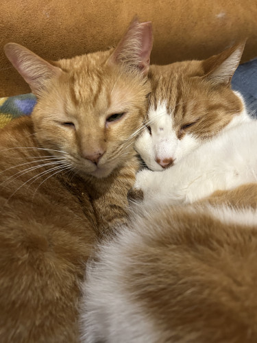 3月の営業日のお知らせ（システム変更のお知らせ）