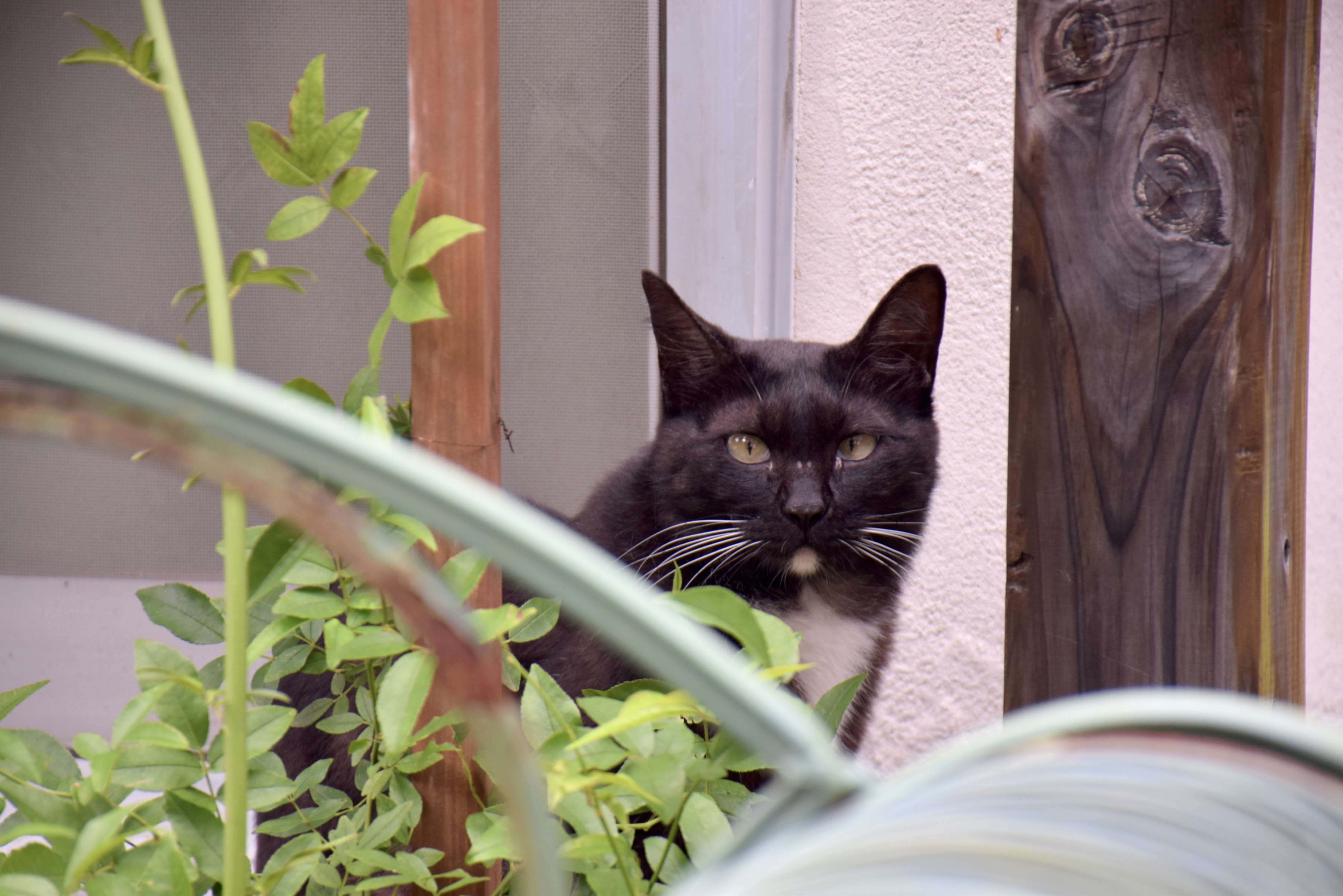 DSC_1110.jpeg