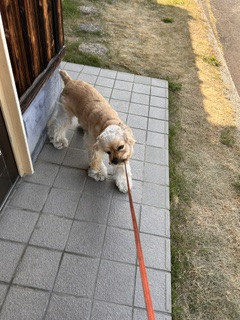 image1.jpeg