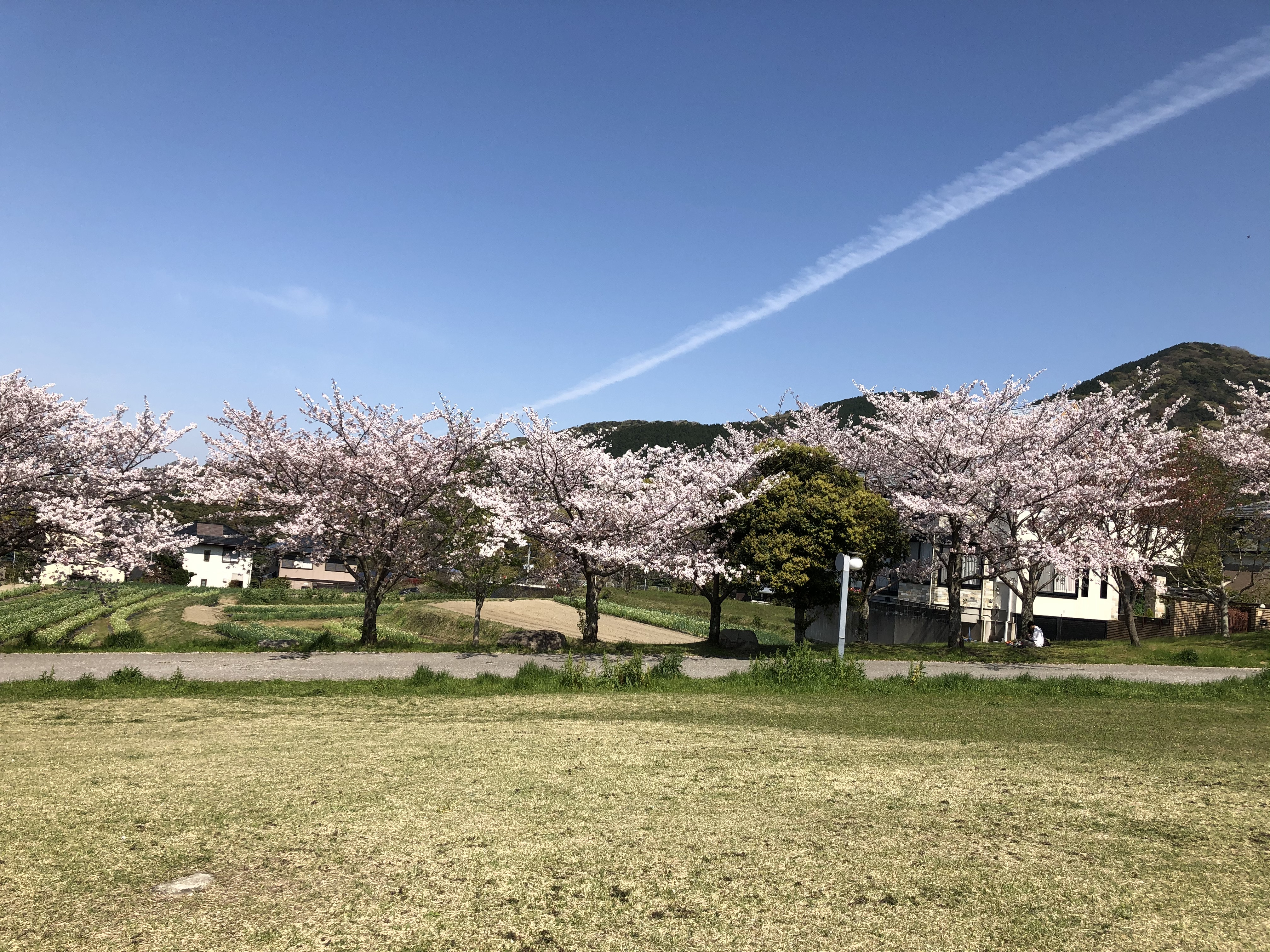 ブログ更新しました🌸