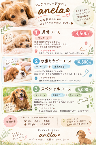 535AE39C-4A8F-4659-9BDC-136C773276C8.png