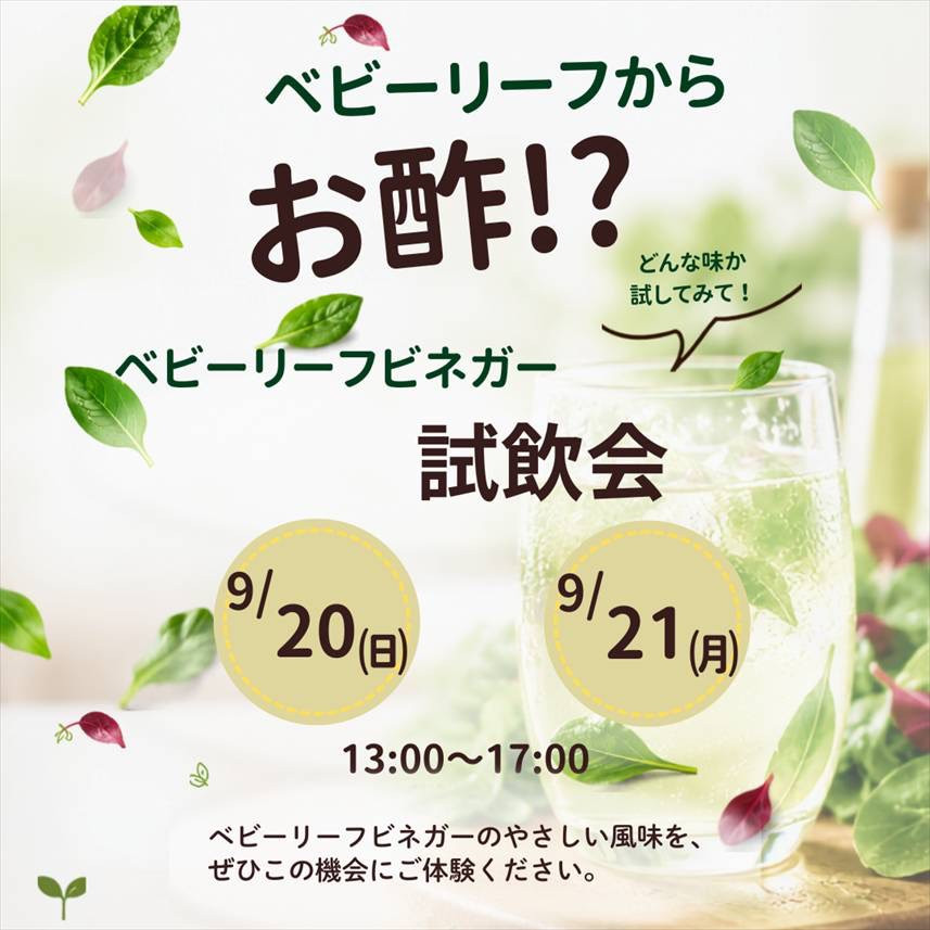 9/20・9/21　ベビーリーフビネガー試飲会を開催します