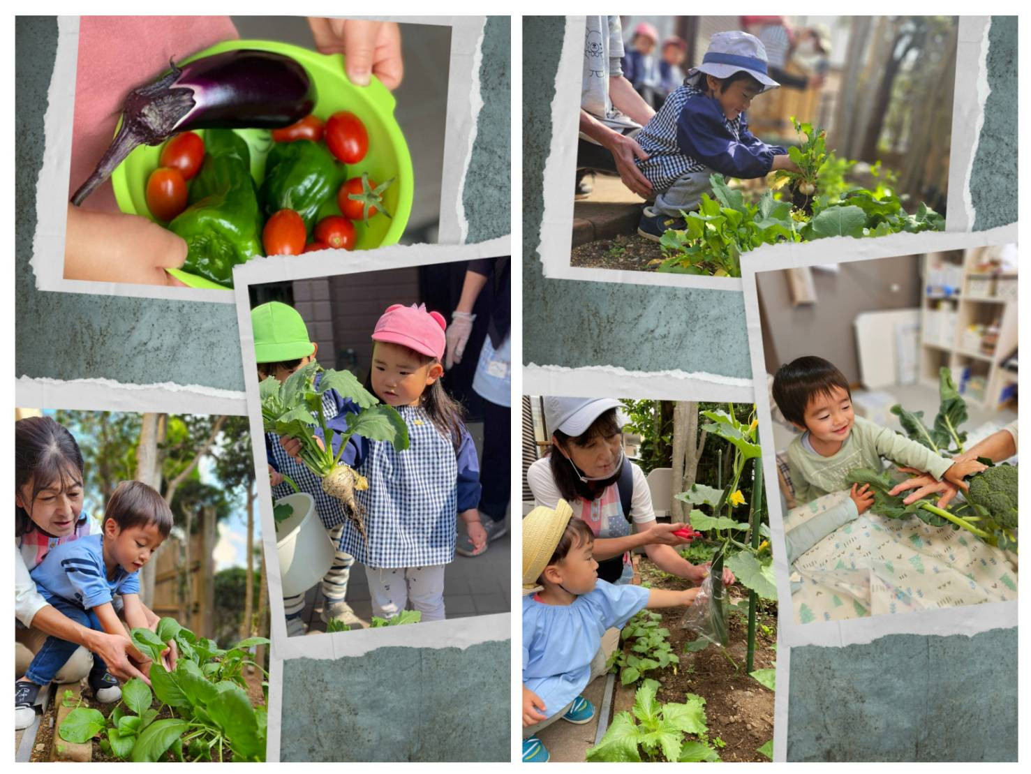 保育室敷地内での食育