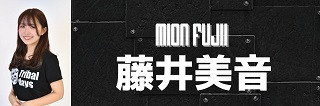 fujii-Banner.jpg
