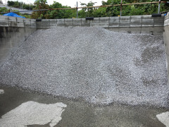 20190830_051324039_iOS.jpg