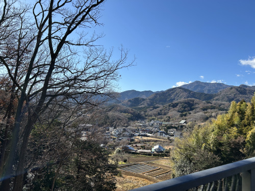 IMG_2815.jpeg