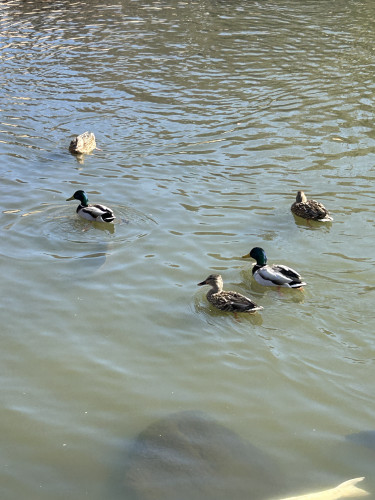 20250128_040134634_iOS.jpg