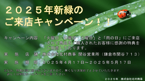 ２０２５年新緑のご来店キャンペーン！！