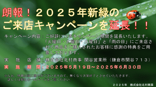 朗報！２０２５年新緑のご来店キャンペーンを延長！！