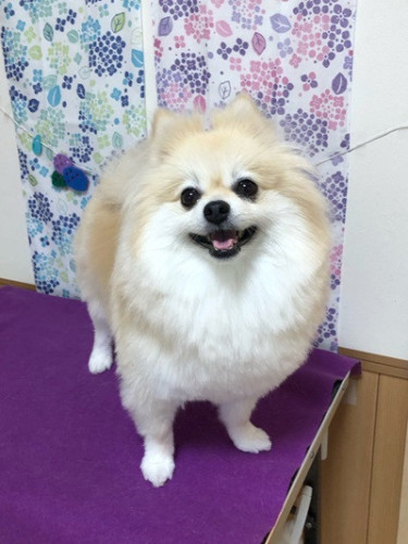 s-2024.6.21鈴木こむぎ.jpg