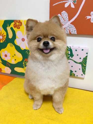 s-2024.8.16三輪サニー.jpg