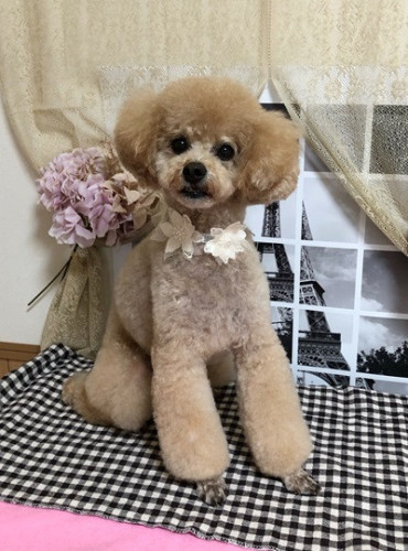 s-2024.9.3中森ココ.jpg