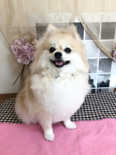 s-2024.9.13鈴木こむぎ.jpg
