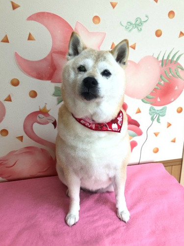 幸ちゃん(^_-)-☆
