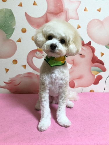 s-2025.3.31櫻田ラキ.jpg