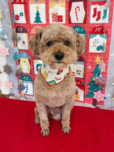 むさしくん（＾◇＾）☆