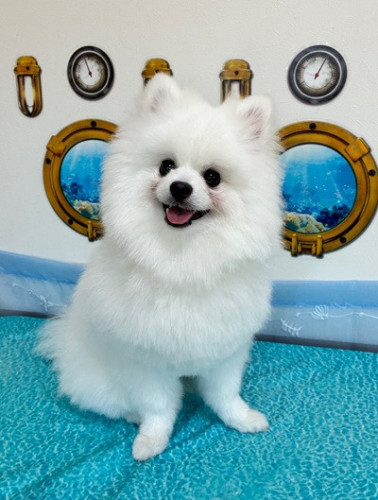 とろろくん＼(^o^)／
