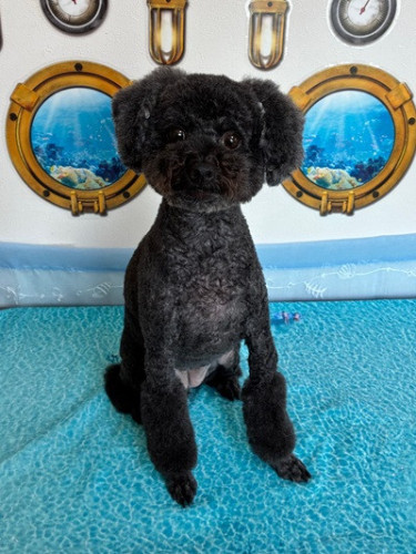 クロエちゃん(≧▽≦)