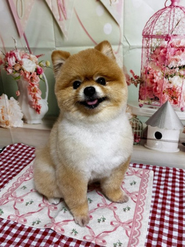 サニーくん(*^▽^*)