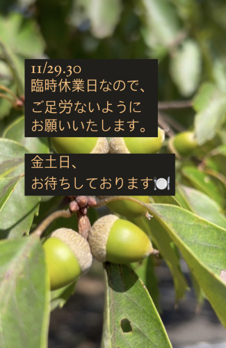 11/29.30 臨時休業日です。
