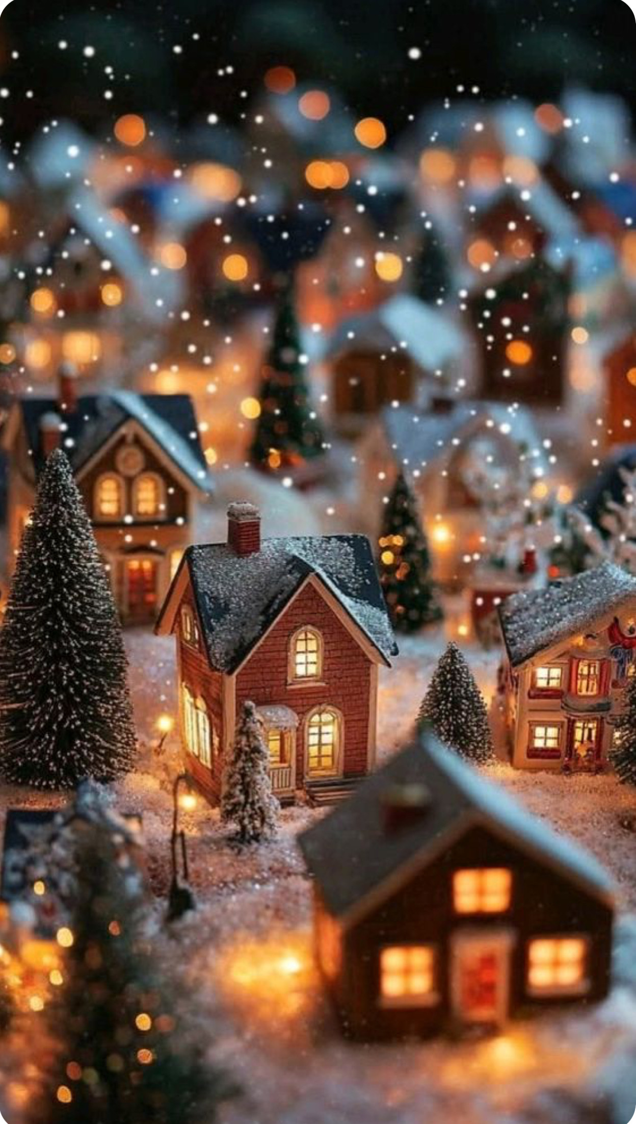［準備中］クリスマスオードブルについて 〜予定メニュー〜