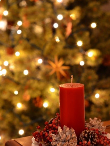 【２０２５年  年内の《ランチ／オードブル／御予約弁当／焼き菓子》ご予約・お問合せは、受付け終了いたしました】