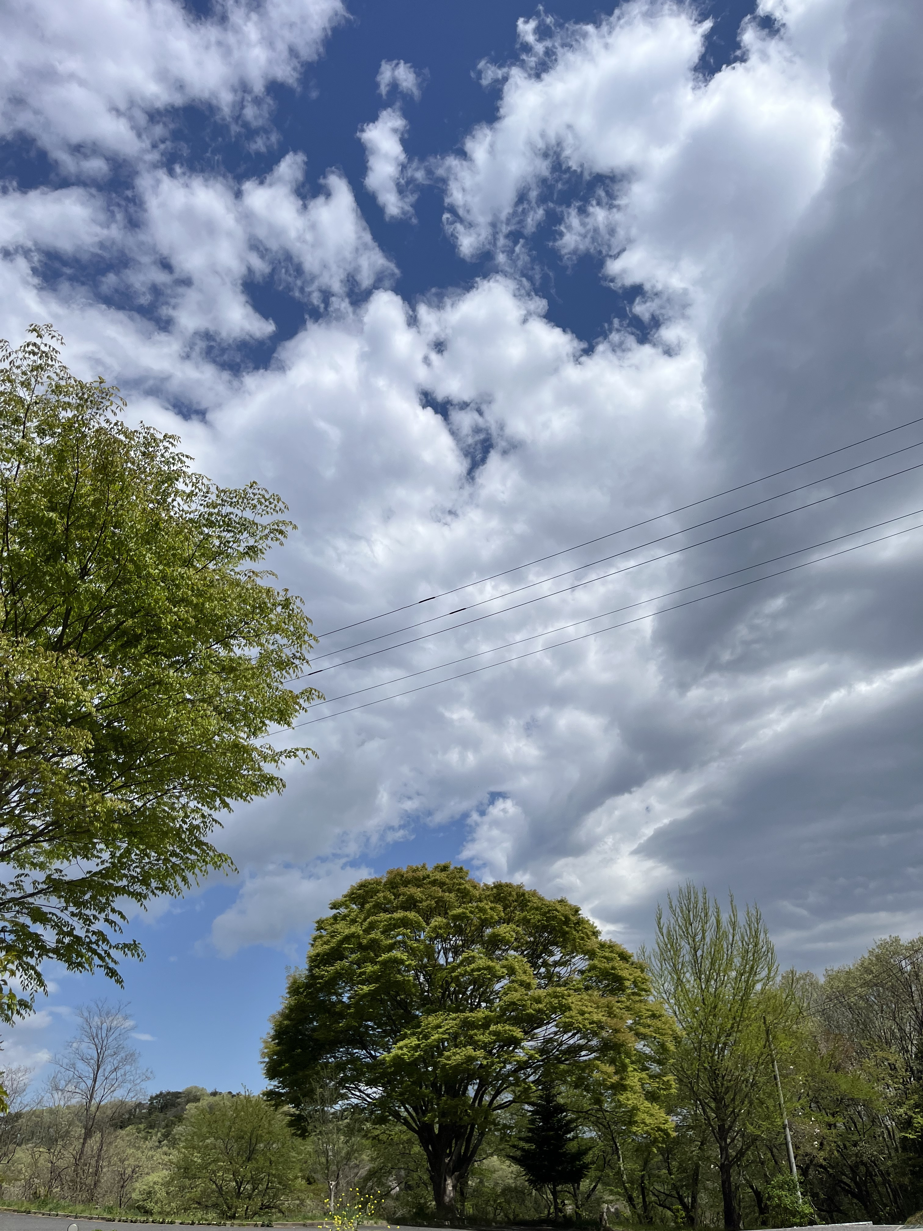 107169FE-0505-4B6E-9B2F-C27969900155.jpeg