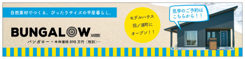 bung-big00a-01 (1).png