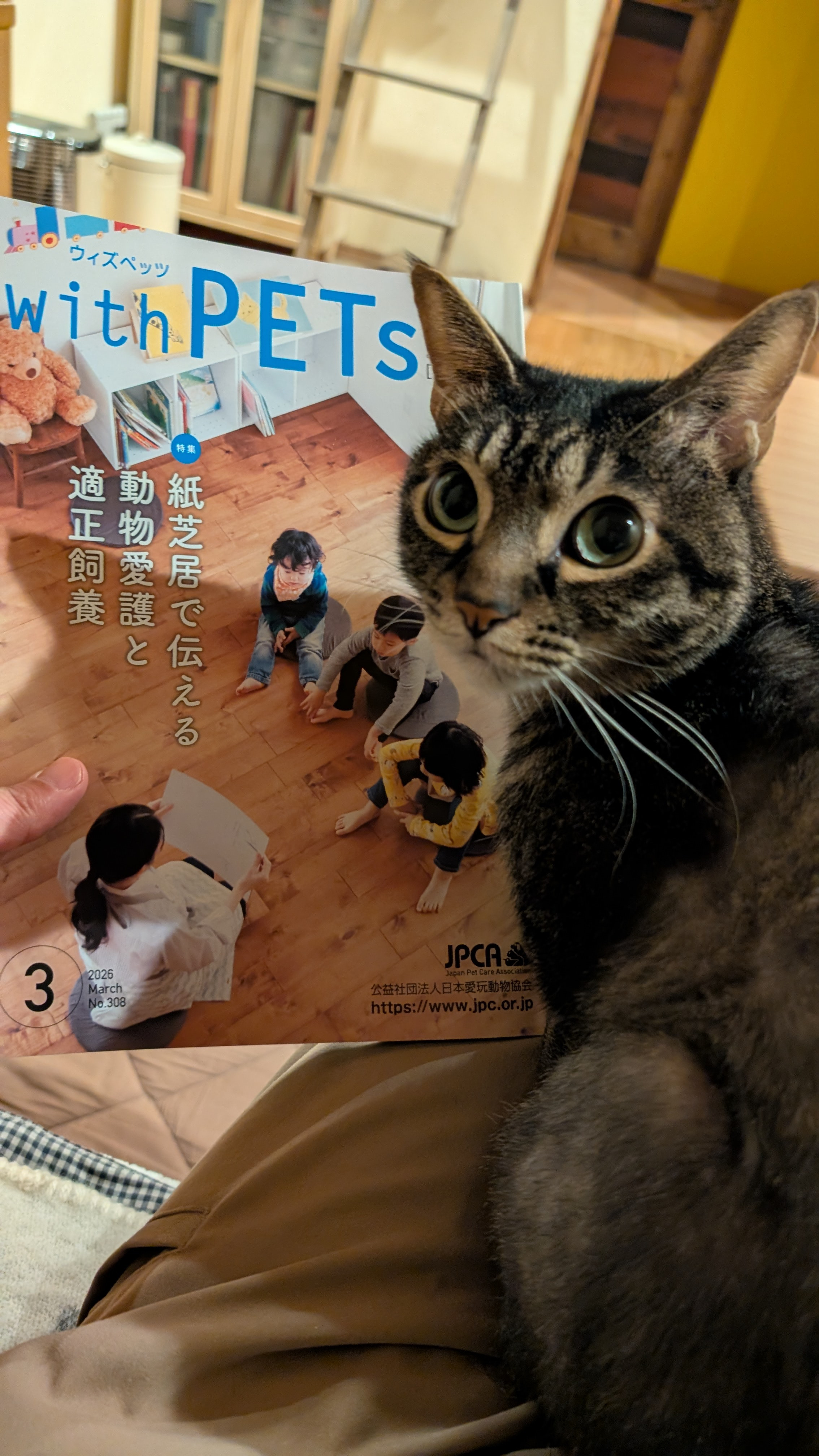 【メディア掲載】紙芝居の歴史と動物