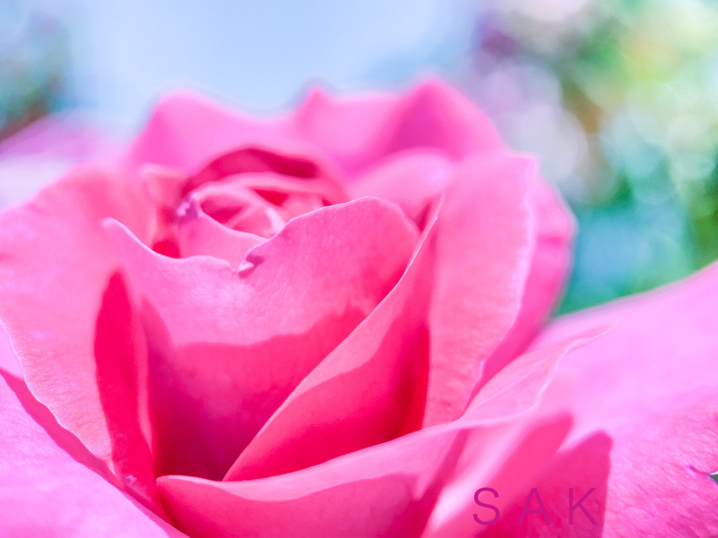 Info - “ Nature Love 気功 ”