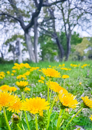 5月6月の予定です♪