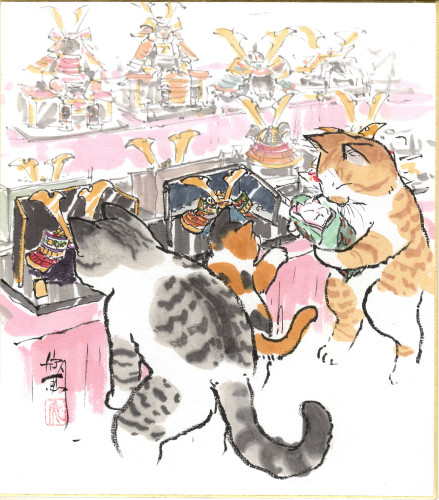 五月人形選びも後半戦です