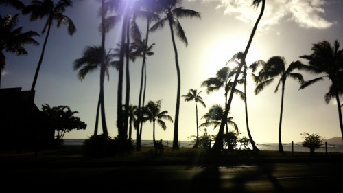 hawaii 5.jpg