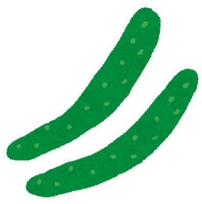 kyuuri_cucumber.png