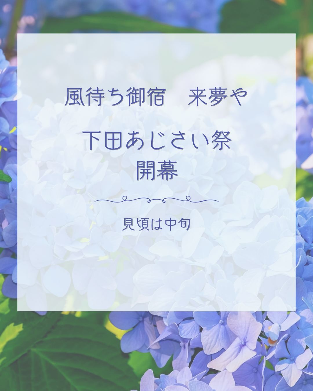 あじさい祭開幕
