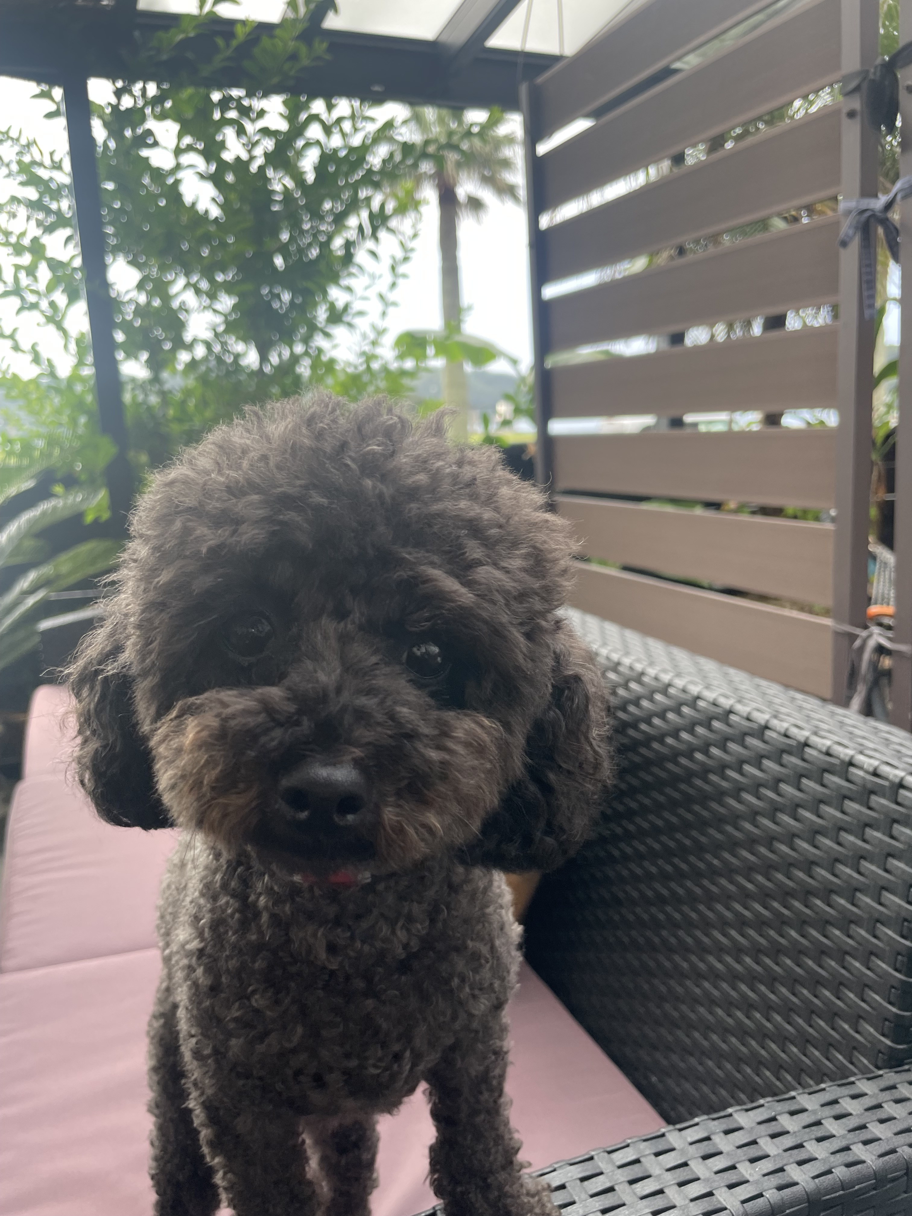 IMG_0077.jpeg