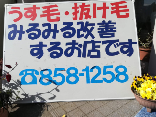 うす毛・かゆみ　短期間でみるみる改善します。