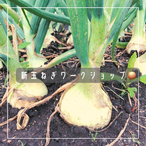 60E9B9FF-A807-4026-9FE6-B8FCD8D7A29B.jpeg