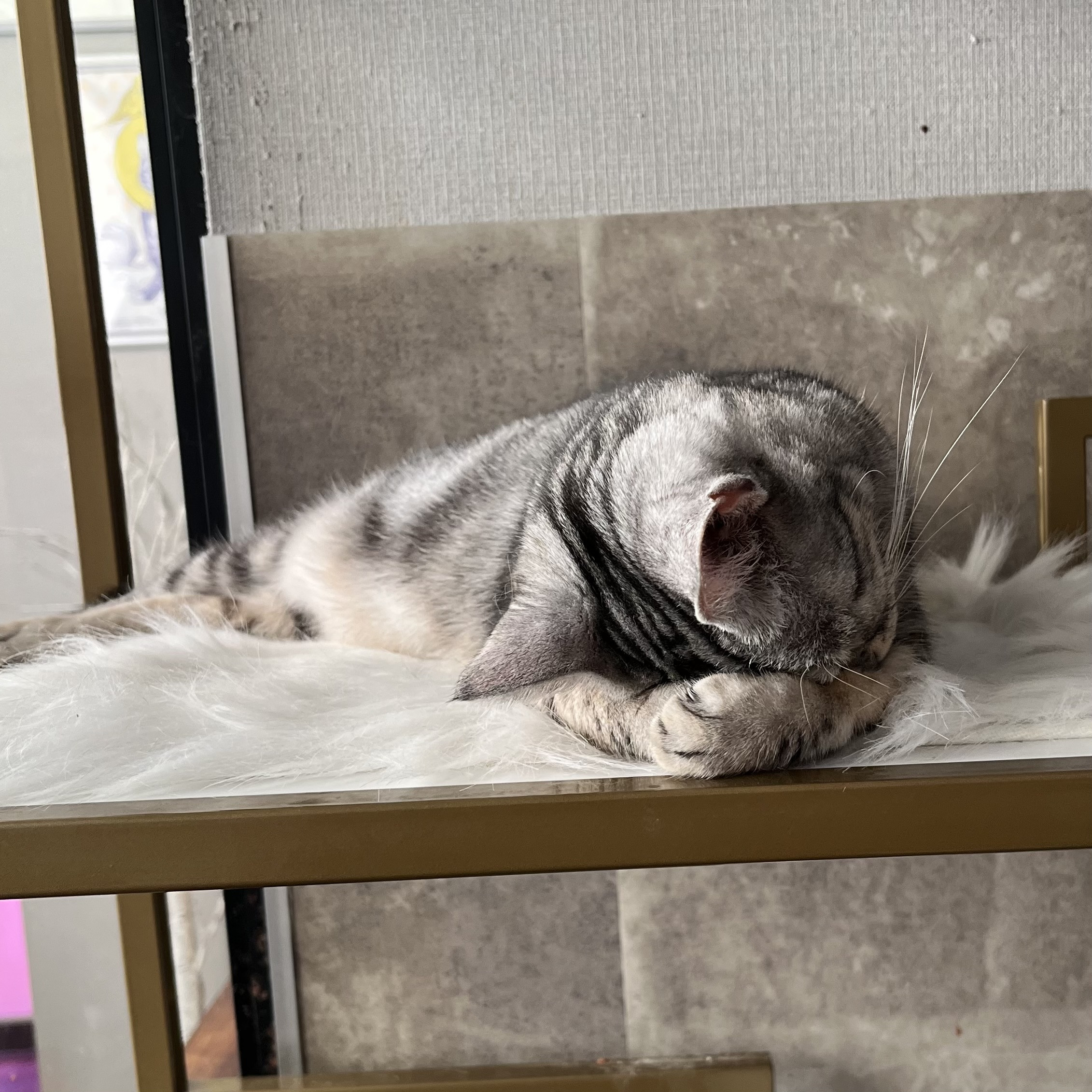 9/20本日お休みです🙇‍♀️