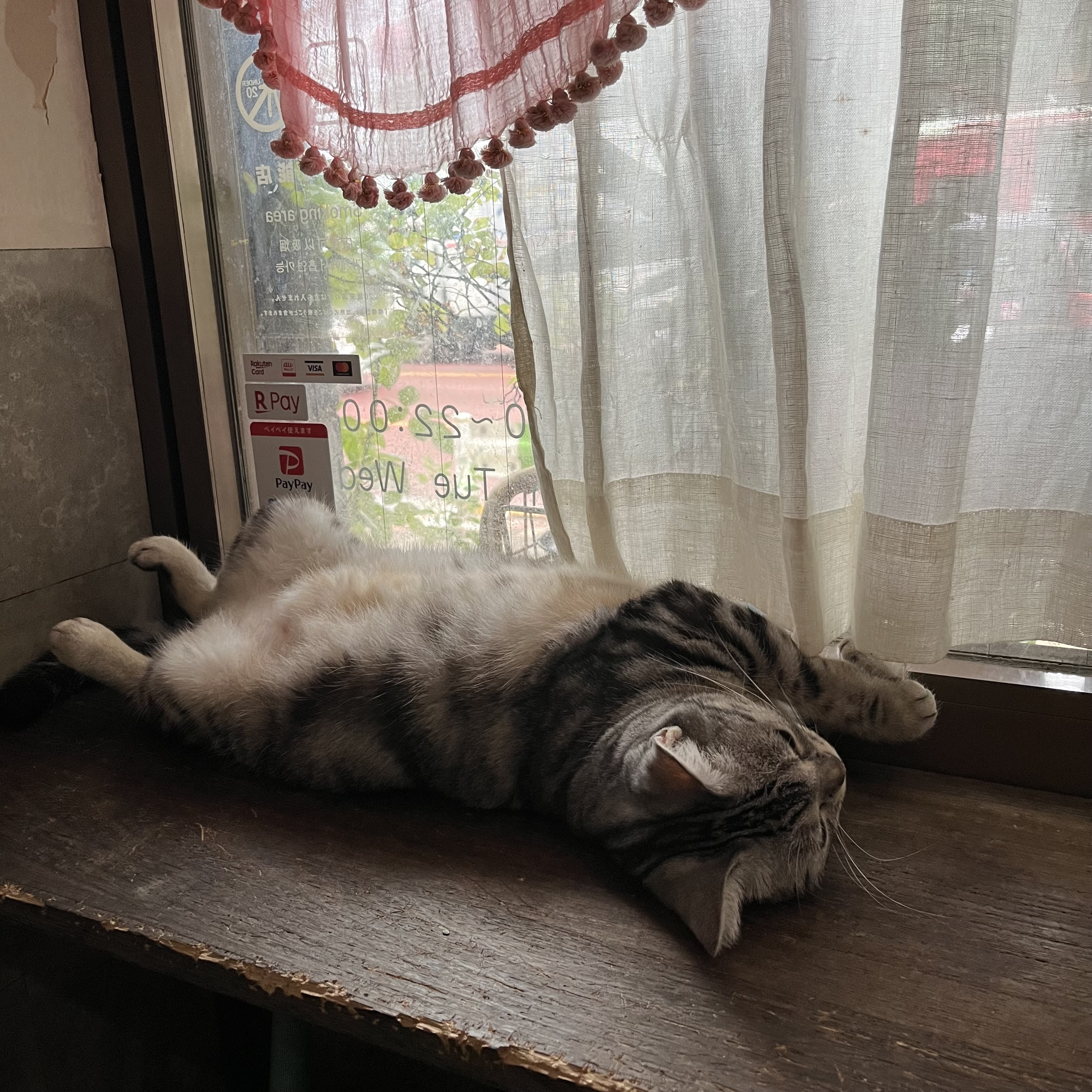 10/31 18時より営業致します♪