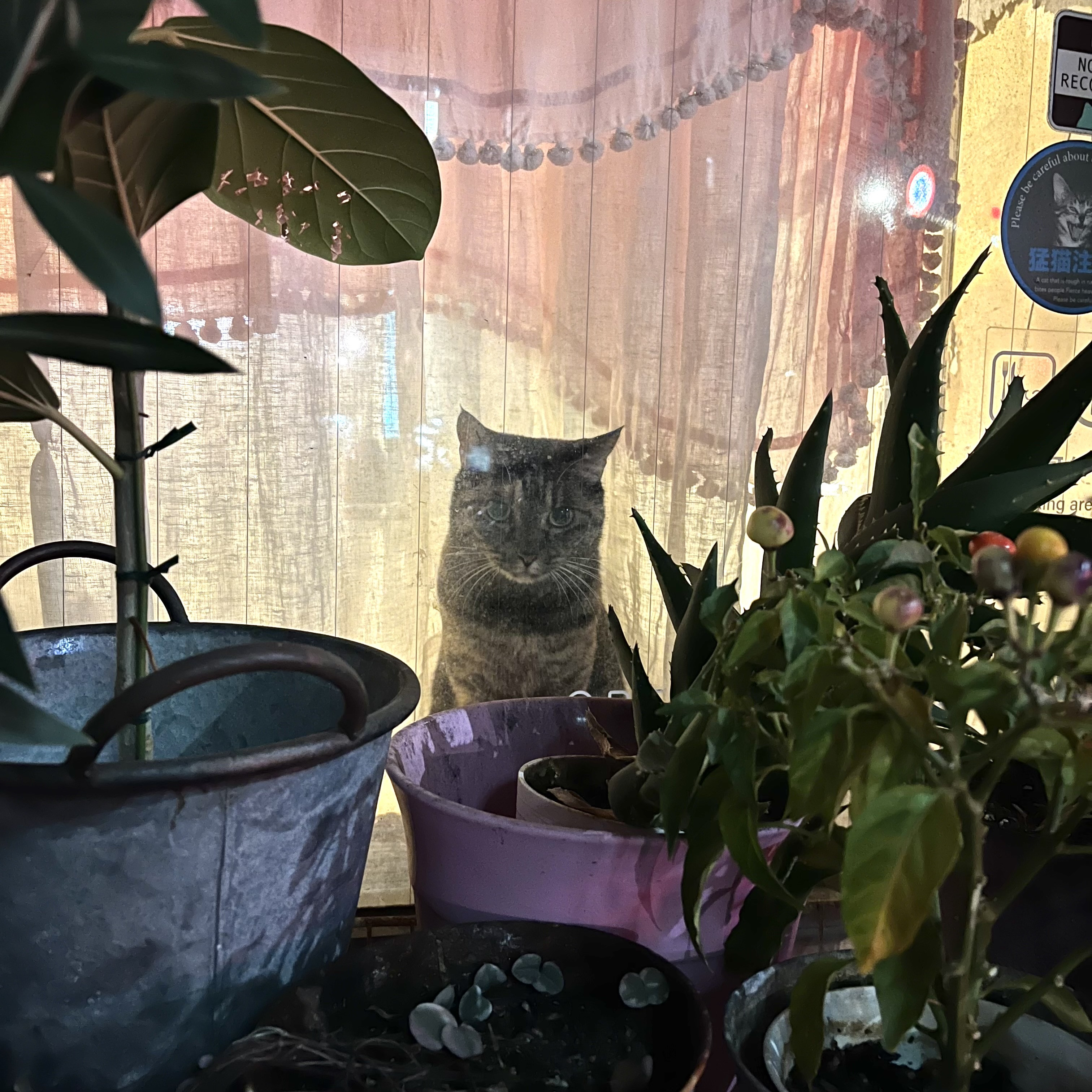 11/28 18時より営業致します♪