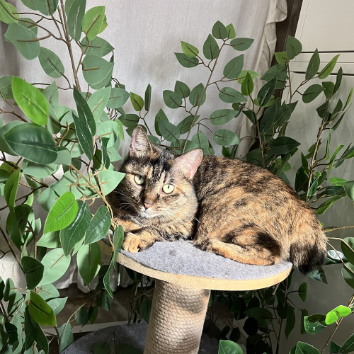 10/17 18時より営業致します♪