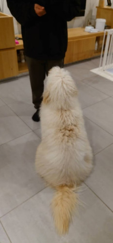 IMG_9708.JPG