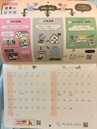 IMG_7024.jpg