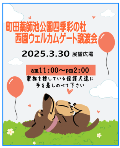 スクリーンショット 2025-03-25 081508.png