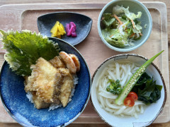 鯛天丼と冷やしうどんの「島ランチ」