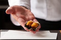 【夜の部】店主おまかせコース ◆ 店主が厳選したとびきりの食材を使った逸品を堪能