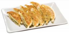 白い皿の上の餃子２.png