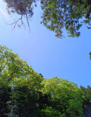 240514104409218.JPG