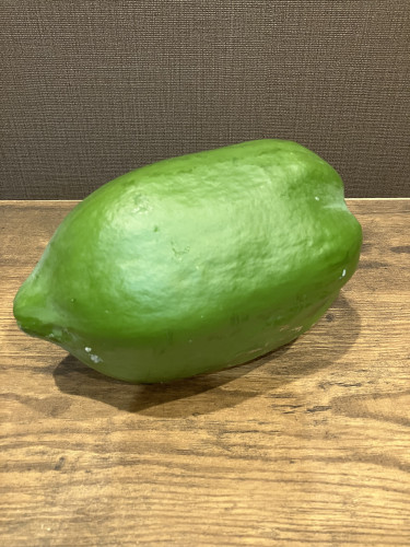 IMG_0345.jpeg